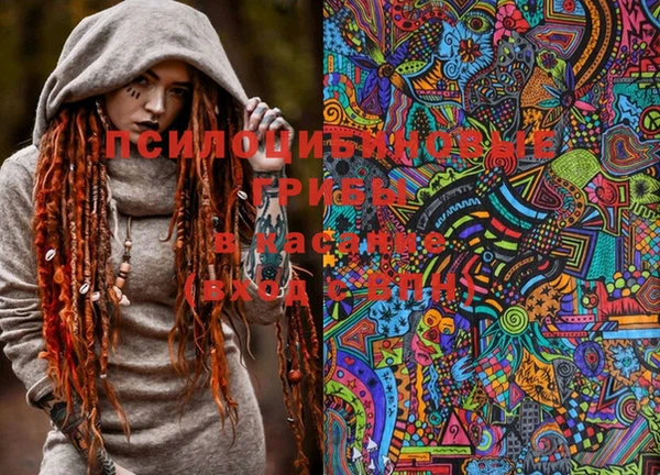 PSILOCYBIN Арсеньев